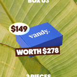 VANDY BLIND BOX 03