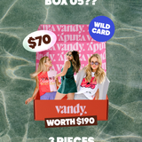 VANDY BLIND BOX 05: THE WILDCARD